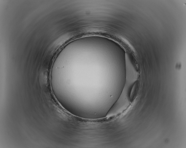 X0000090930777200708201827