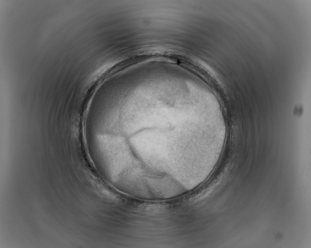 X0000090930778200708201827