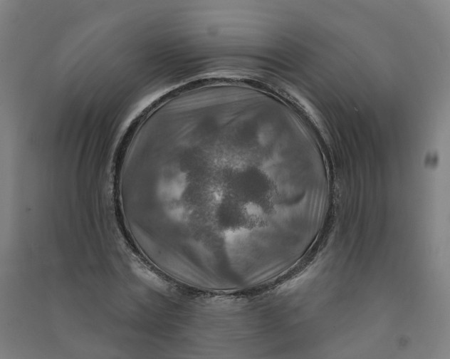 X0000090930779200708201827