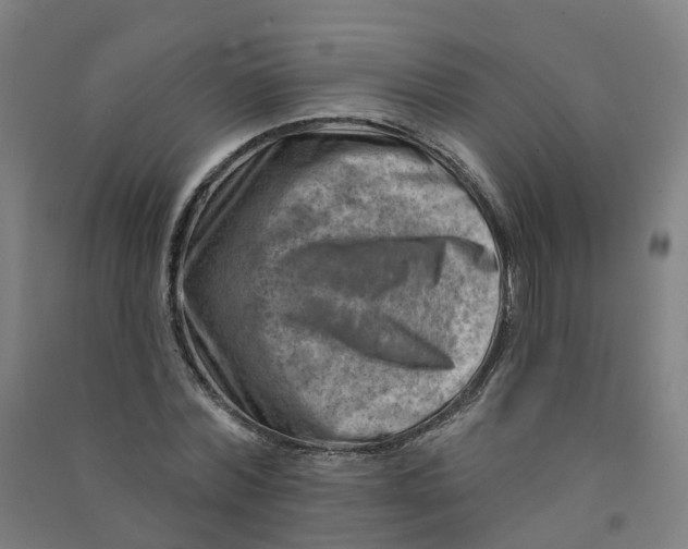 X0000090930780200708201827