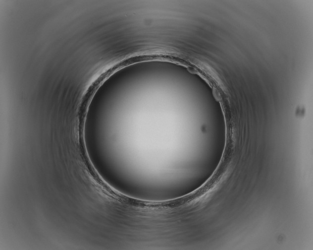 X0000090930781200708201827