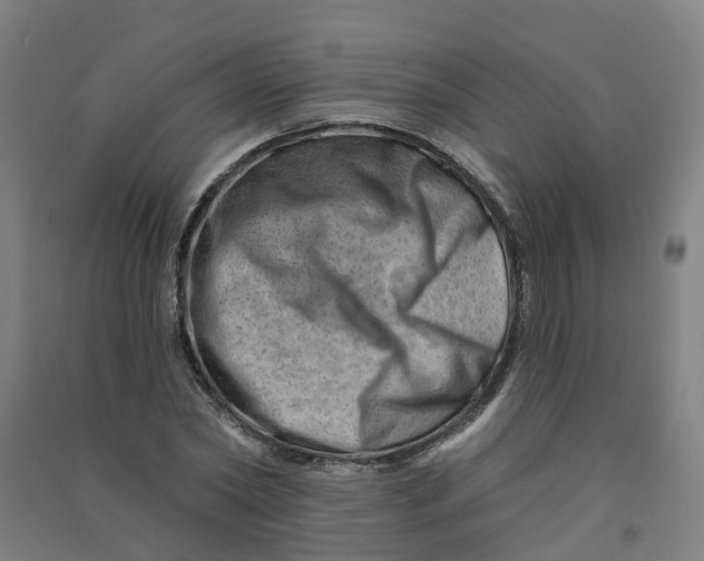 X0000090930782200708201827