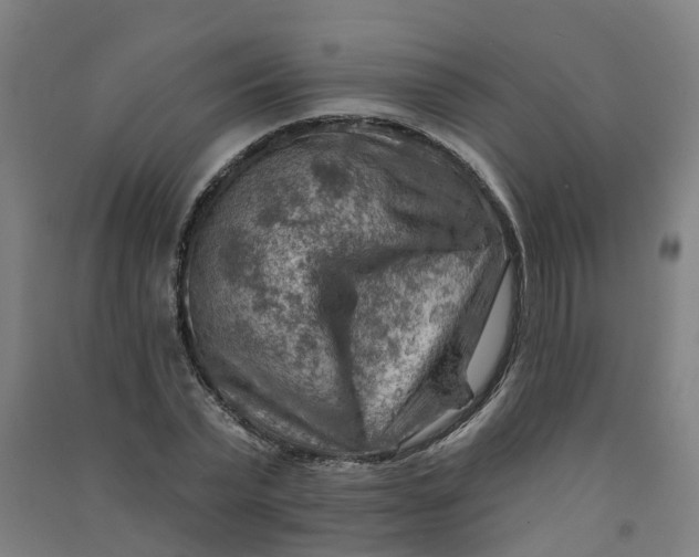 X0000090930783200708201827