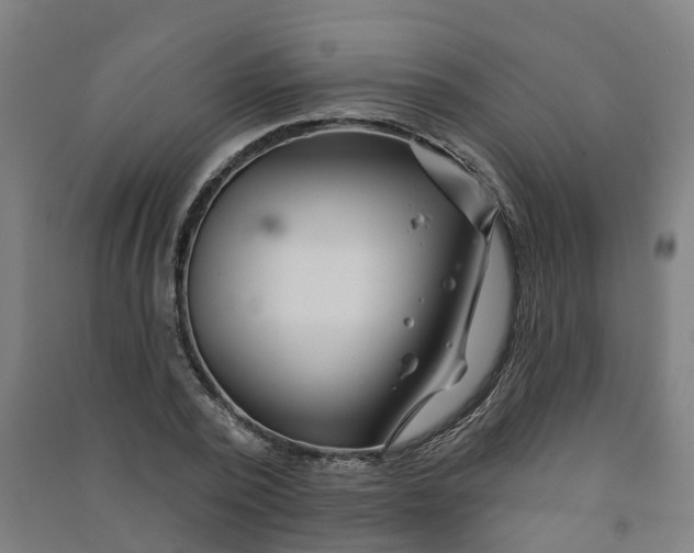 X0000090930784200708201827