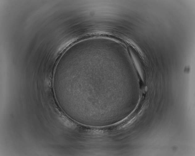 X0000090930785200708201827