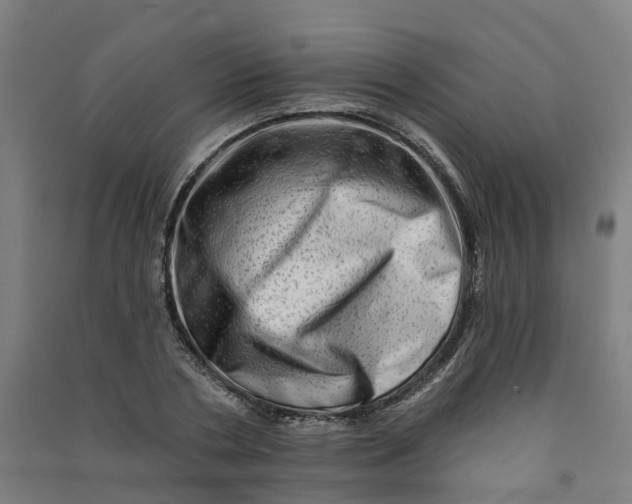 X0000090930786200708201827