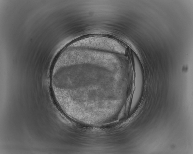 X0000090930787200708201827