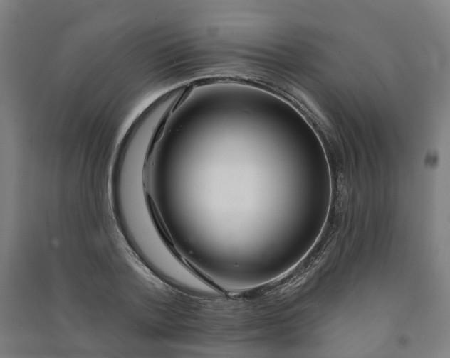 X0000090930788200708201827