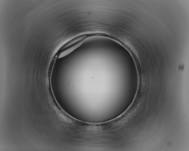 X0000090930789200708201827