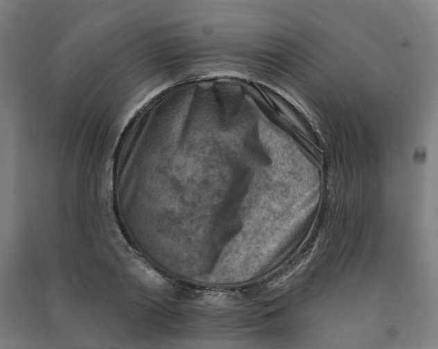 X0000090930790200708201827