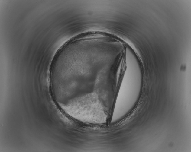 X0000090930791200708201827