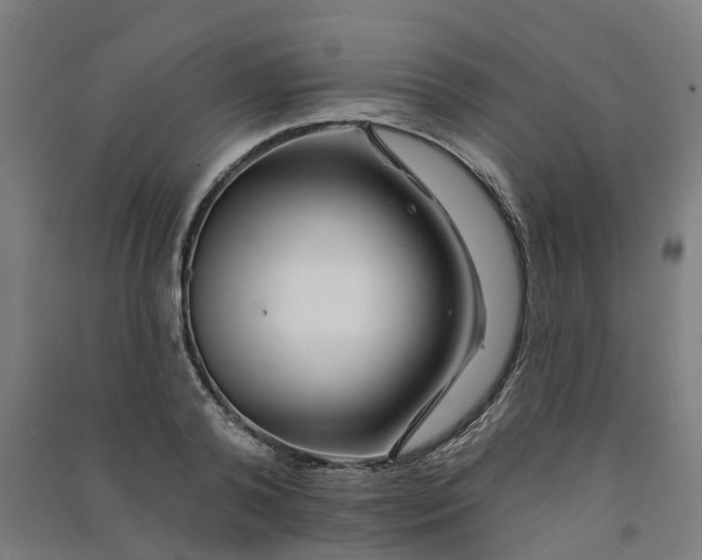 X0000090930792200708201827