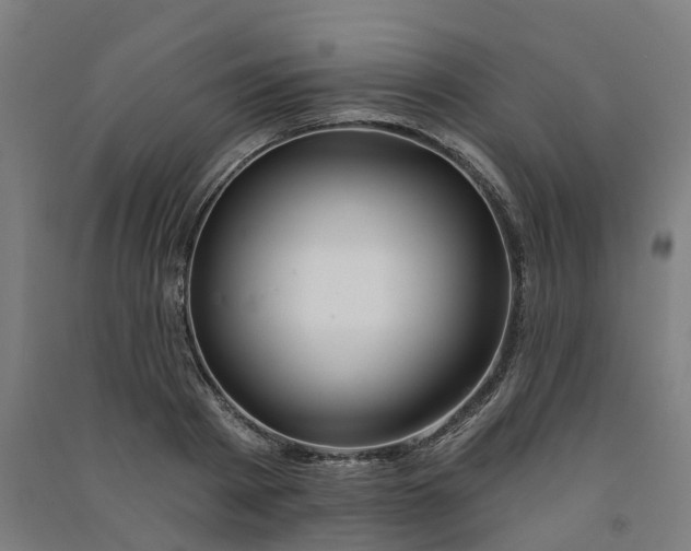 X0000090930793200708201827