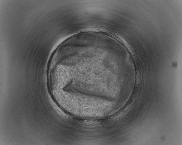 X0000090930795200708201827