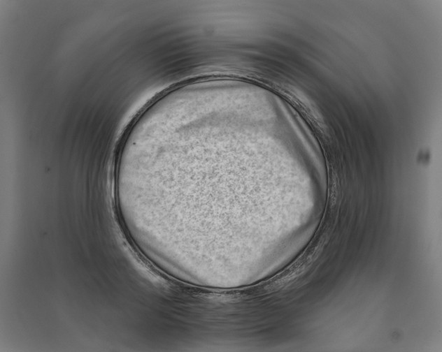 X0000090930796200708201827