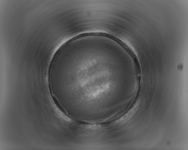 X0000090930797200708201827