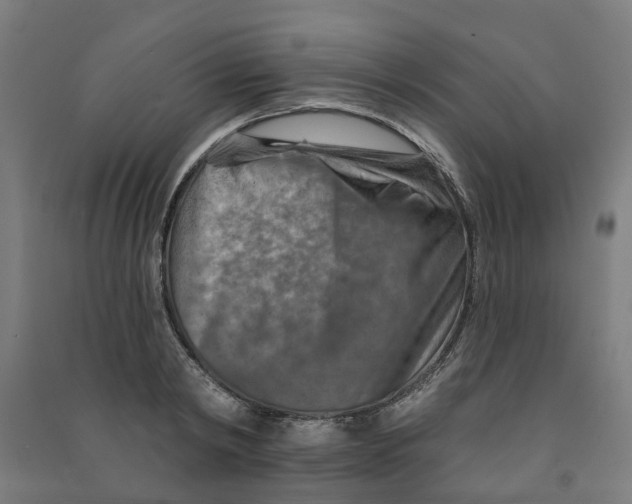 X0000090930798200708201827