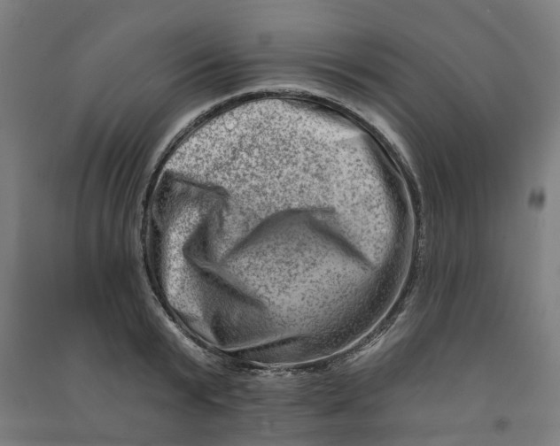 X0000090930799200708201827