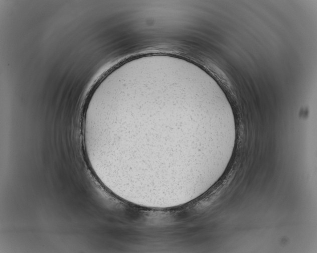 X0000090930800200708201827