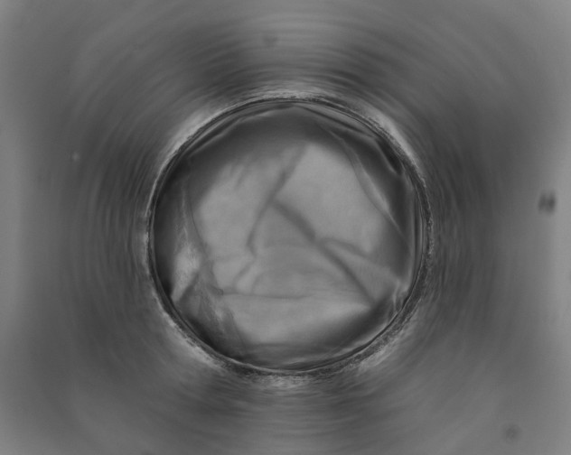 X0000090930802200708201827