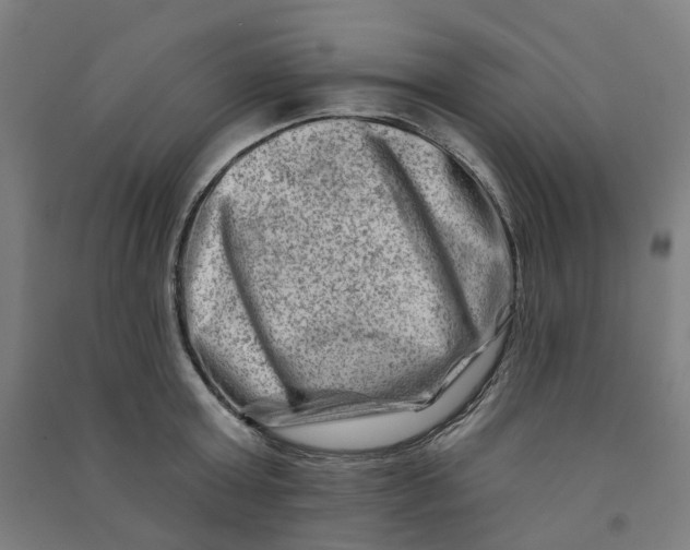 X0000090930803200708201827