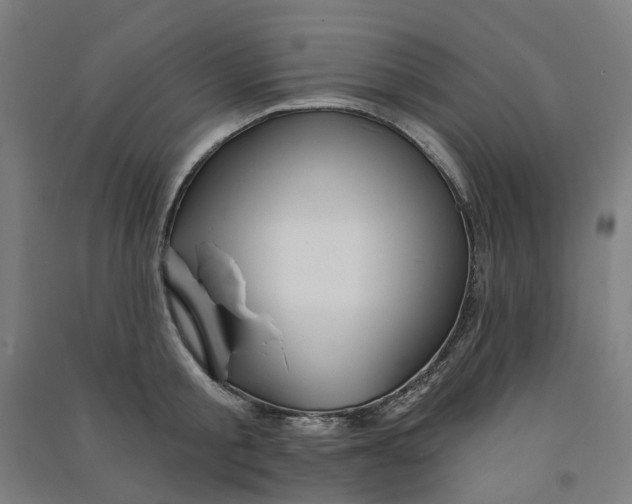 X0000090930805200708201827