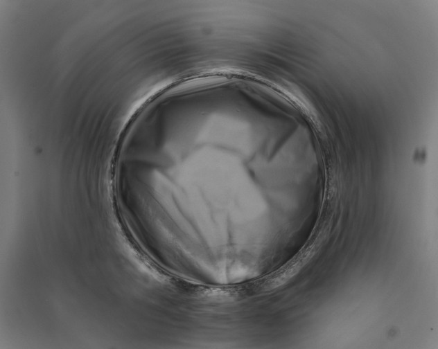 X0000090930806200708201827