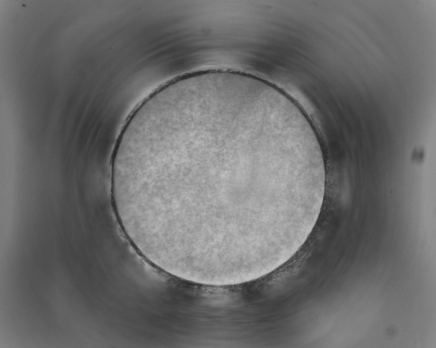 X0000090930807200708201827