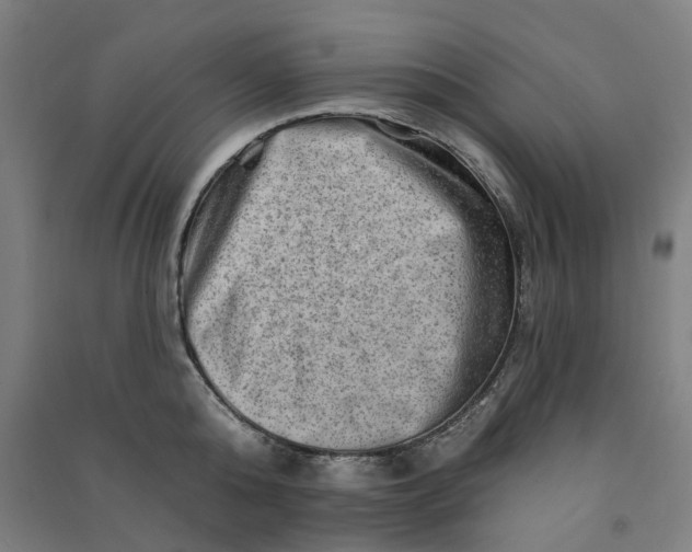 X0000090930808200708201826