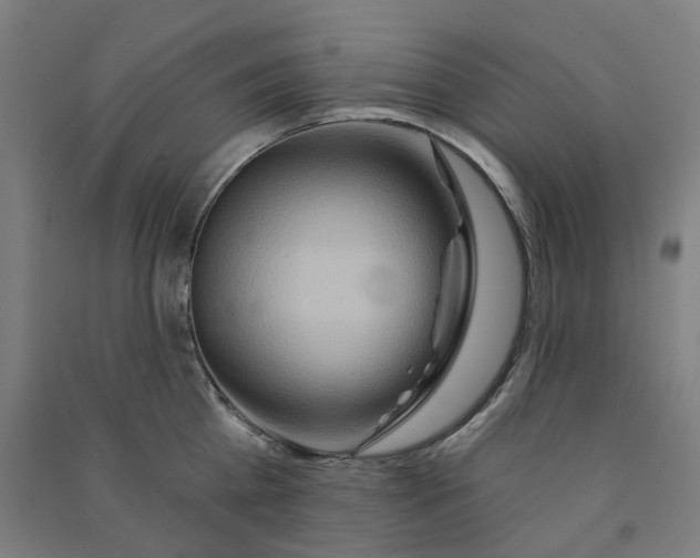 X0000090930809200708201826