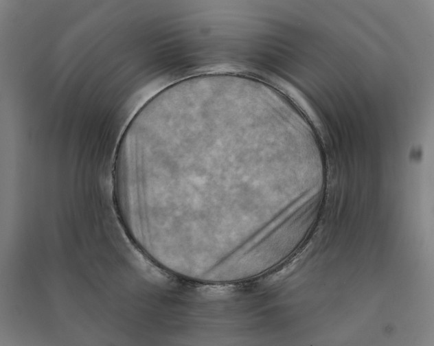 X0000090930810200708201826