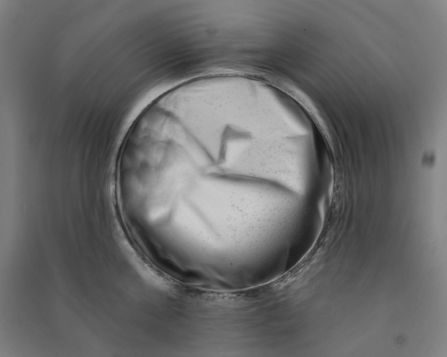 X0000090930811200708201826