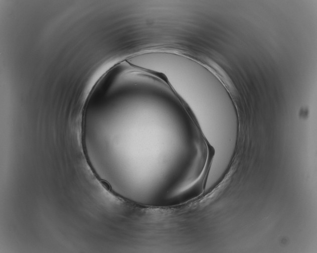 X0000090930812200708201826