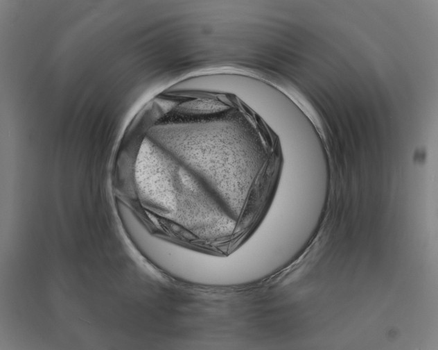 X0000090930813200708201826