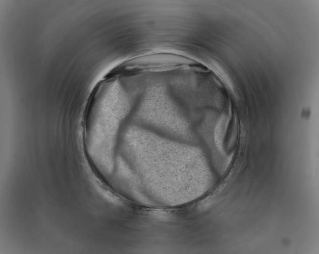 X0000090930814200708201826