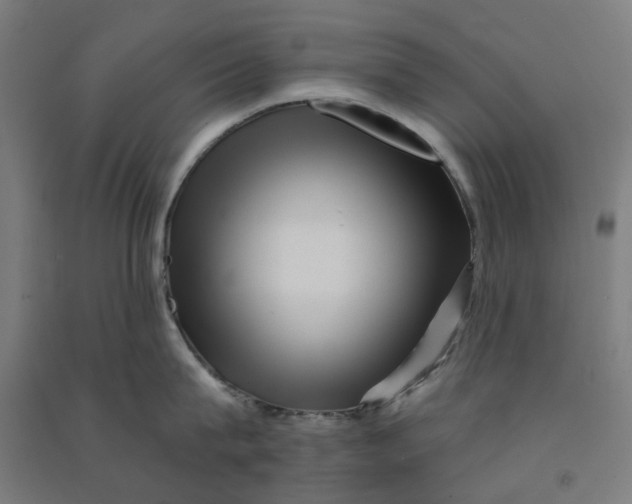 X0000090930815200708201826