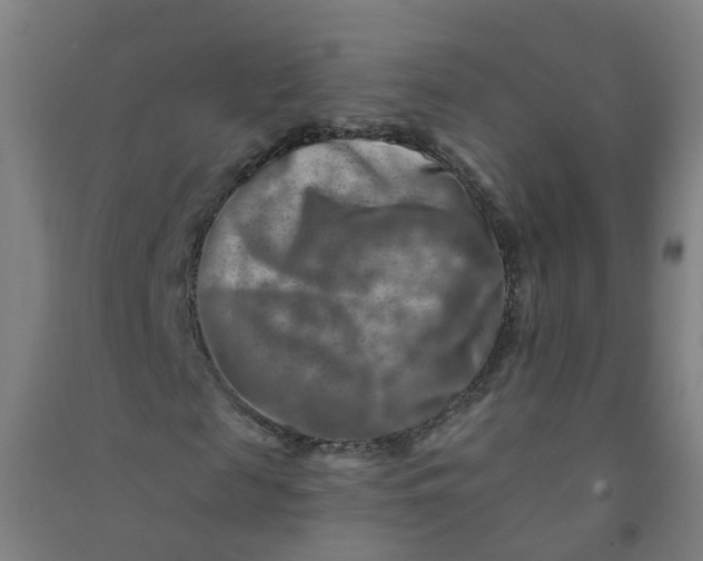 X0000090930817200708201826