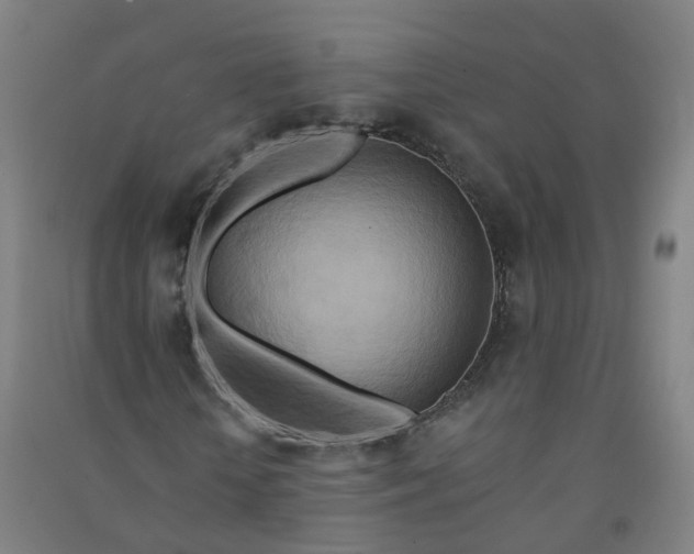 X0000090930818200708201826