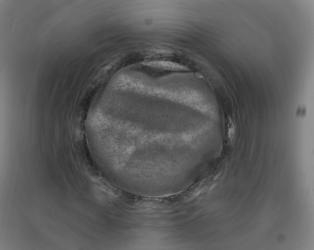 X0000090930819200708201826