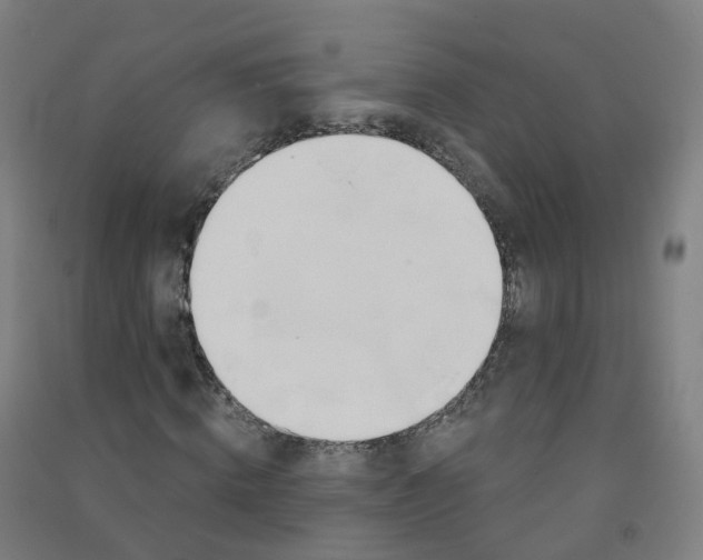 X0000090930820200708201826