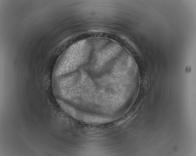 X0000090930821200708201826