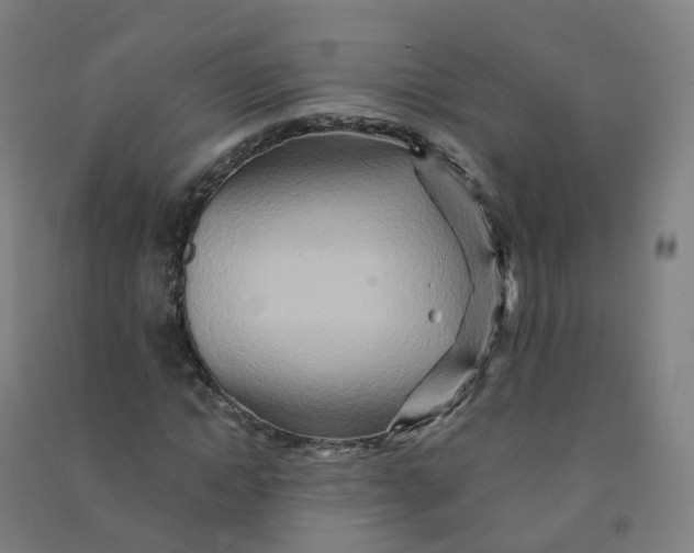 X0000090930822200708201826