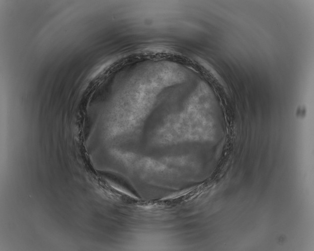 X0000090930823200708201826