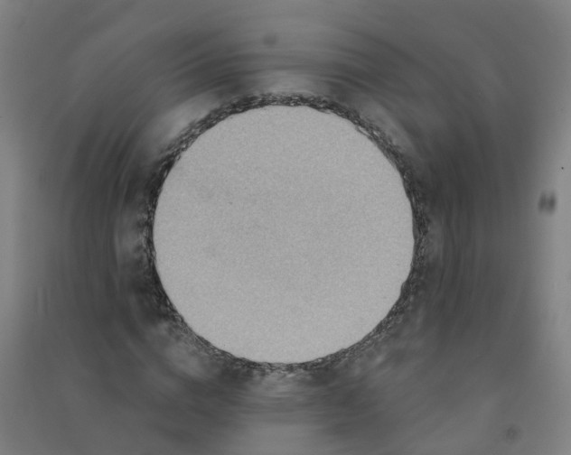 X0000090930824200708201826