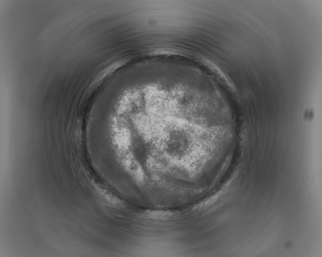 X0000090930825200708201826