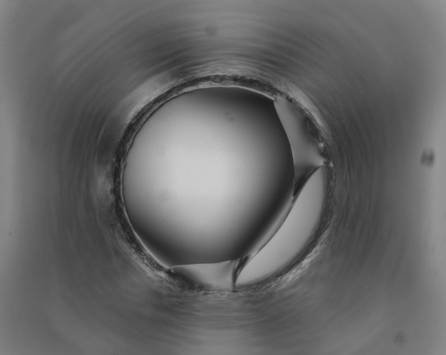 X0000090930826200708201826