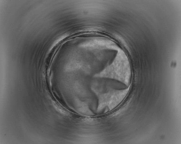 X0000090930827200708201826