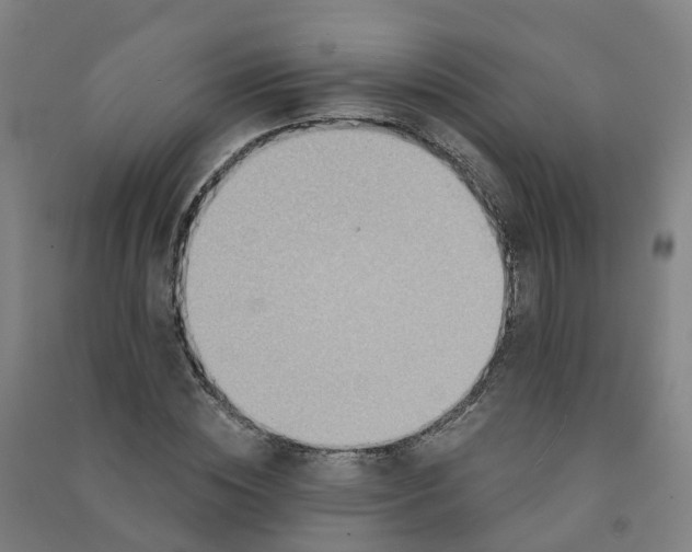 X0000090930828200708201826