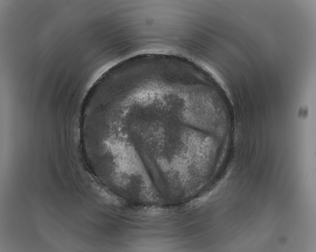 X0000090930829200708201826