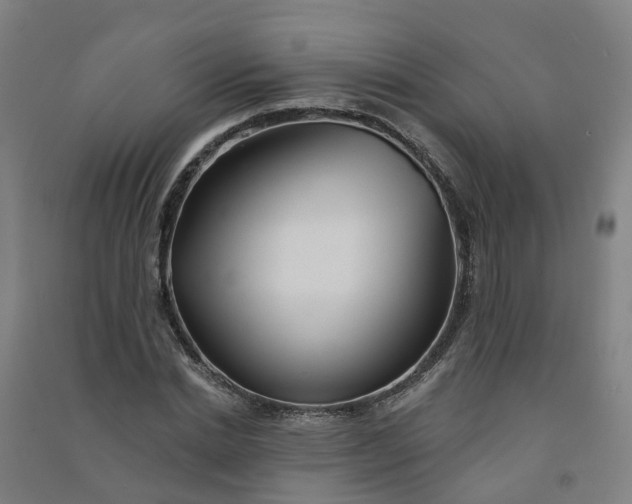 X0000090930830200708201826